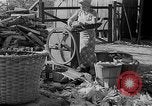 Image of corn sheller United States USA, 1945, second 4 stock footage video 65675046824