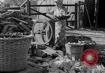 Image of corn sheller United States USA, 1945, second 5 stock footage video 65675046824