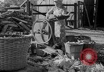 Image of corn sheller United States USA, 1945, second 6 stock footage video 65675046824