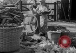 Image of corn sheller United States USA, 1945, second 7 stock footage video 65675046824