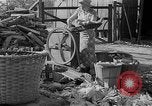 Image of corn sheller United States USA, 1945, second 8 stock footage video 65675046824