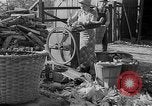 Image of corn sheller United States USA, 1945, second 9 stock footage video 65675046824