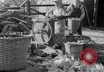 Image of corn sheller United States USA, 1945, second 10 stock footage video 65675046824