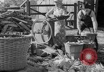 Image of corn sheller United States USA, 1945, second 11 stock footage video 65675046824