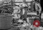 Image of corn sheller United States USA, 1945, second 12 stock footage video 65675046824