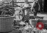 Image of corn sheller United States USA, 1945, second 13 stock footage video 65675046824