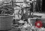 Image of corn sheller United States USA, 1945, second 14 stock footage video 65675046824