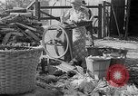 Image of corn sheller United States USA, 1945, second 15 stock footage video 65675046824