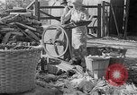 Image of corn sheller United States USA, 1945, second 16 stock footage video 65675046824