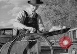 Image of corn sheller United States USA, 1945, second 56 stock footage video 65675046824