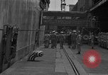 Image of Charles Andrew Willoughby Yokohama Japan, 1951, second 3 stock footage video 65675046832
