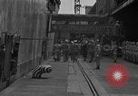 Image of Charles Andrew Willoughby Yokohama Japan, 1951, second 4 stock footage video 65675046832