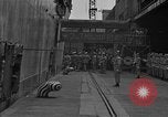 Image of Charles Andrew Willoughby Yokohama Japan, 1951, second 20 stock footage video 65675046832