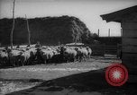 Immagine di Casa giapponese La Manciuria Cina, 1939, secondo 7 filmato di repertorio 65675046834