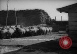 Immagine di Casa giapponese La Manciuria Cina, 1939, secondo 8 filmato di repertorio 65675046834