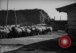 Immagine di Casa giapponese La Manciuria Cina, 1939, secondo 9 filmato di repertorio 65675046834