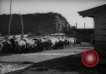 Immagine di Casa giapponese La Manciuria Cina, 1939, secondo 10 filmato di repertorio 65675046834