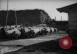 Immagine di Casa giapponese La Manciuria Cina, 1939, secondo 11 filmato di repertorio 65675046834