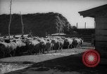 Immagine di Casa giapponese La Manciuria Cina, 1939, secondo 13 filmato di repertorio 65675046834