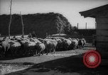 Immagine di Casa giapponese La Manciuria Cina, 1939, secondo 14 filmato di repertorio 65675046834