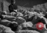 Immagine di Casa giapponese La Manciuria Cina, 1939, secondo 26 filmato di repertorio 65675046834