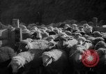 Immagine di Casa giapponese La Manciuria Cina, 1939, secondo 32 filmato di repertorio 65675046834