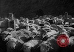 Immagine di Casa giapponese La Manciuria Cina, 1939, secondo 33 filmato di repertorio 65675046834