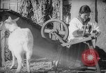 Immagine di Casa giapponese La Manciuria Cina, 1939, secondo 62 filmato di repertorio 65675046834