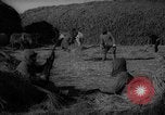 Image colonist guards la Mandchourie Chine, 1959, de la seconde 1 séquences d'archives historiques vidéo 65675046835