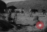 Image colonist guards la Mandchourie Chine, 1959, de la seconde 3 séquences d'archives historiques vidéo 65675046835