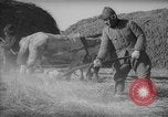 Image colonist guards la Mandchourie Chine, 1959, de la seconde 16 séquences d'archives historiques vidéo 65675046835