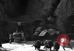 Immagine di La vita rurale Provincia di Shaanxi Cina, 1939, secondo 34 filmato di repertorio 65675046860