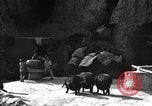 Immagine di La vita rurale Provincia di Shaanxi Cina, 1939, secondo 35 filmato di repertorio 65675046860