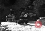 Immagine di La vita rurale Provincia di Shaanxi Cina, 1939, secondo 36 filmato di repertorio 65675046860