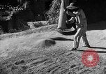 Immagine di La vita rurale Provincia di Shaanxi Cina, 1939, secondo 41 filmato di repertorio 65675046860