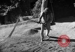 Immagine di La vita rurale Provincia di Shaanxi Cina, 1939, secondo 48 filmato di repertorio 65675046860