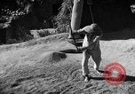 Immagine di La vita rurale Provincia di Shaanxi Cina, 1939, secondo 51 filmato di repertorio 65675046860