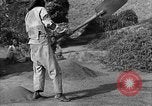 Immagine di La vita rurale Provincia di Shaanxi Cina, 1939, secondo 53 filmato di repertorio 65675046860