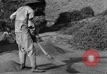 Immagine di La vita rurale Provincia di Shaanxi Cina, 1939, secondo 54 filmato di repertorio 65675046860