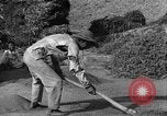 Immagine di La vita rurale Provincia di Shaanxi Cina, 1939, secondo 55 filmato di repertorio 65675046860