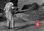 Immagine di La vita rurale Provincia di Shaanxi Cina, 1939, secondo 56 filmato di repertorio 65675046860