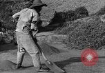Immagine di La vita rurale Provincia di Shaanxi Cina, 1939, secondo 57 filmato di repertorio 65675046860