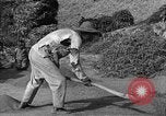 Immagine di La vita rurale Provincia di Shaanxi Cina, 1939, secondo 58 filmato di repertorio 65675046860