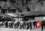 Immagine di Gli uomini lo studio Provincia di Shaanxi Cina, 1939, secondo 58 filmato di repertorio 65675046861