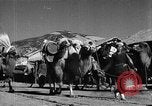 Immagine di Villaggio Cinese Provincia di Shaanxi Cina, 1944, secondo 40 filmato di repertorio 65675046864