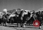Immagine di Villaggio Cinese Provincia di Shaanxi Cina, 1944, secondo 41 filmato di repertorio 65675046864