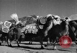 Immagine di Villaggio Cinese Provincia di Shaanxi Cina, 1944, secondo 42 filmato di repertorio 65675046864