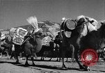 Immagine di Villaggio Cinese Provincia di Shaanxi Cina, 1944, secondo 43 filmato di repertorio 65675046864