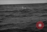 Standbild Fischer Zeile a Dory Massachusetts United States USA, 1935, aus Sekunde 32 historischem Filmmaterial Videoclip 65675046870