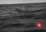 Standbild Fischer Zeile a Dory Massachusetts United States USA, 1935, aus Sekunde 39 historischem Filmmaterial Videoclip 65675046870